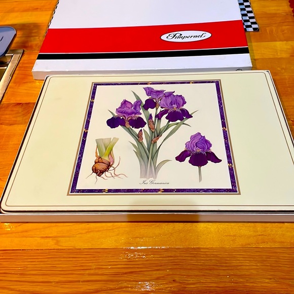 Pimpernel Dining Pimpernel Iris Corknack Placemats Set Of 4 Poshmark